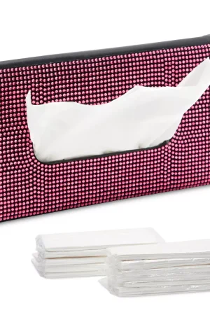 Sun Visor Tissue Holder for Car, 12 Bags of Refill Tissues, 24 Sheets Each