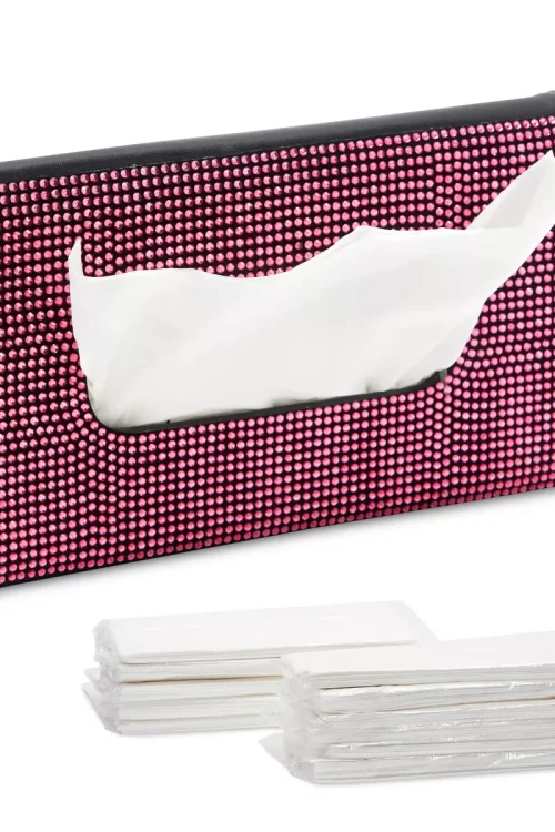 Sun Visor Tissue Holder for Car, 12 Bags of Refill Tissues, 24 Sheets Each